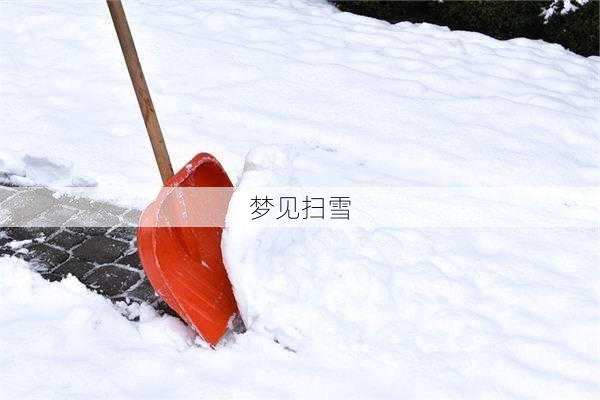 梦见扫雪