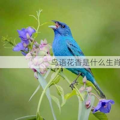 鸟语花香是什么生肖