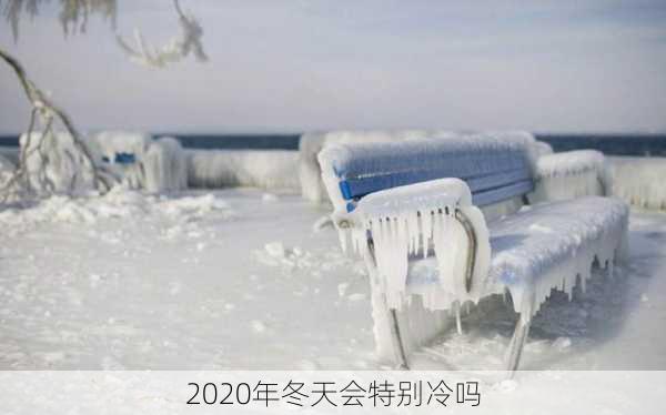 2020年冬天会特别冷吗