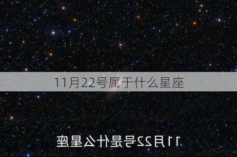 11月22号属于什么星座