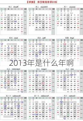 2013年是什么年啊