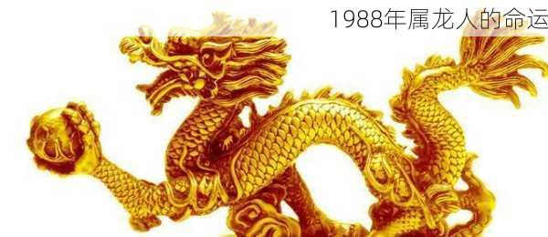 1988年属龙人的命运