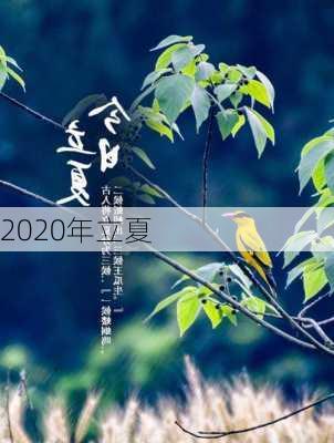 2020年立夏