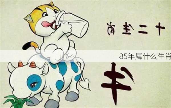 85年属什么生肖