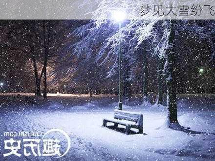 梦见大雪纷飞