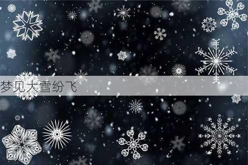 梦见大雪纷飞