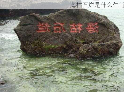 海枯石烂是什么生肖