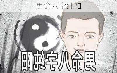 男命八字纯阳