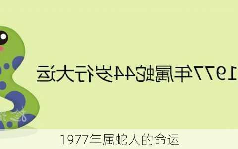 1977年属蛇人的命运