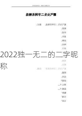 2022独一无二的二字昵称