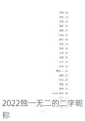 2022独一无二的二字昵称