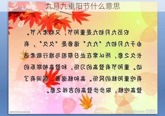 九月九重阳节什么意思