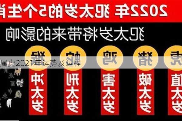 属虎2021年运势及运程