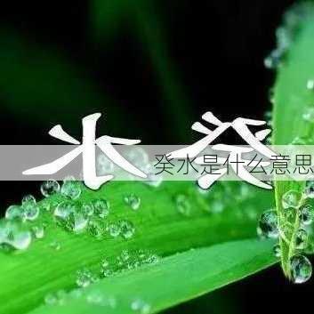 癸水是什么意思