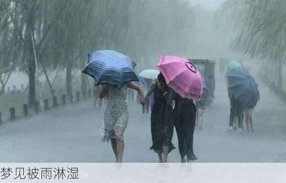 梦见被雨淋湿