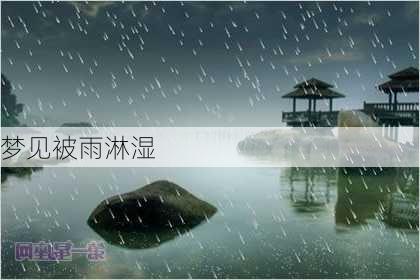 梦见被雨淋湿