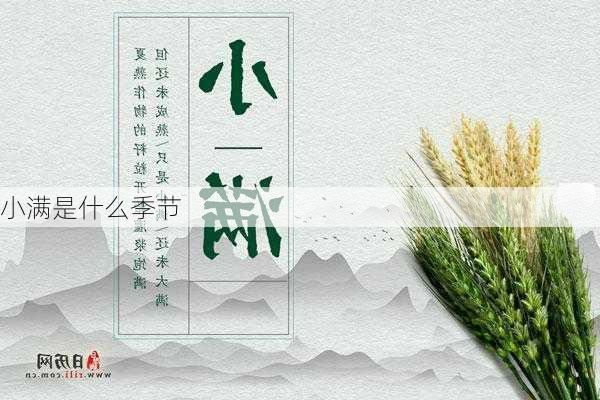 小满是什么季节