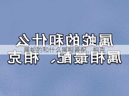 属蛇的和什么属相最配、相克