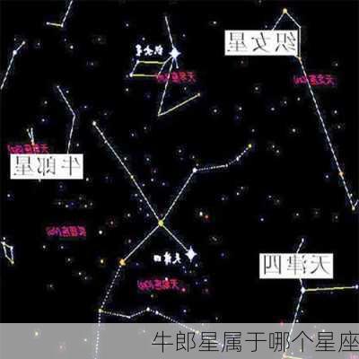 牛郎星属于哪个星座