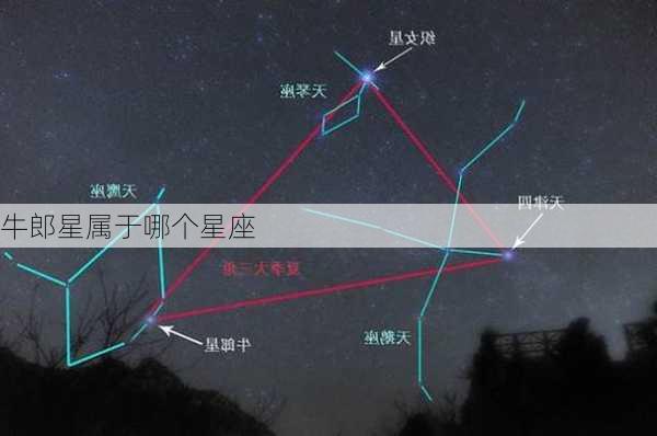 牛郎星属于哪个星座