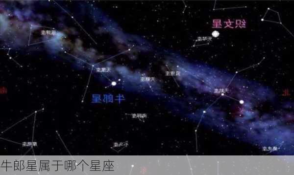 牛郎星属于哪个星座