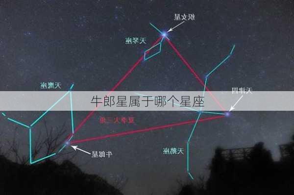 牛郎星属于哪个星座