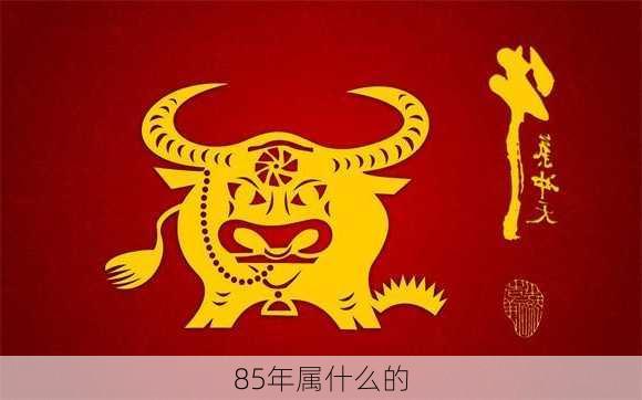 85年属什么的