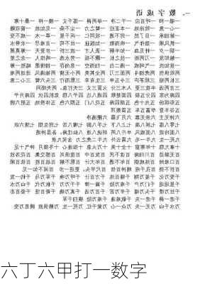 六丁六甲打一数字