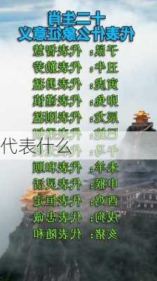 代表什么