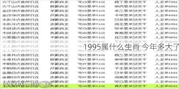 1995属什么生肖 今年多大了