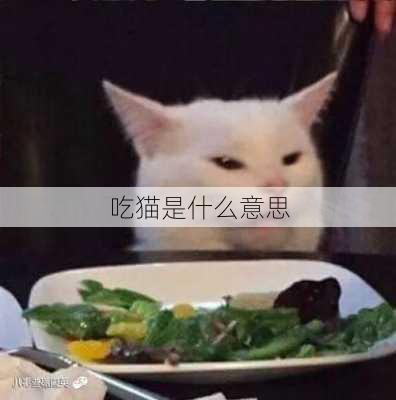 吃猫是什么意思