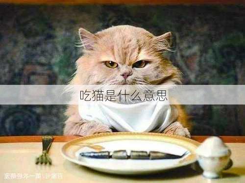 吃猫是什么意思