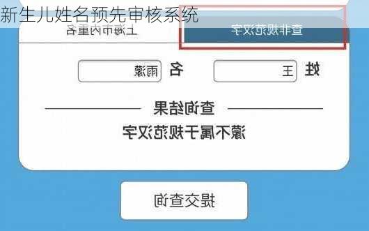 新生儿姓名预先审核系统