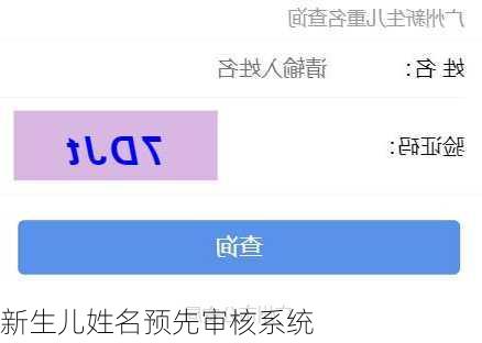 新生儿姓名预先审核系统