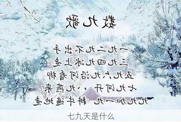 七九天是什么