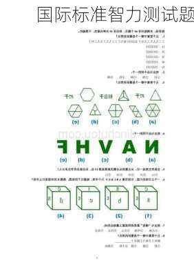 国际标准智力测试题