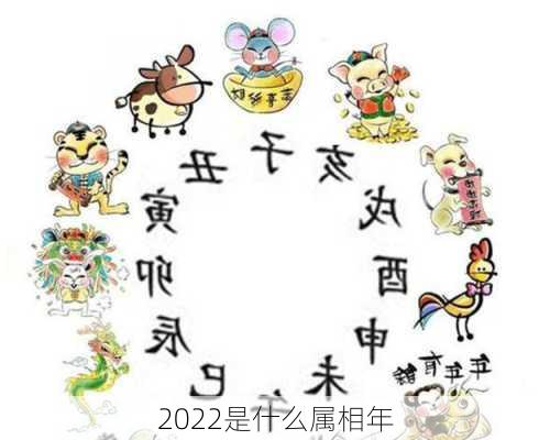 2022是什么属相年