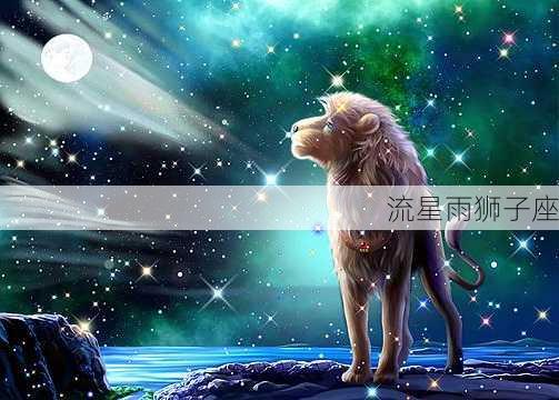 流星雨狮子座