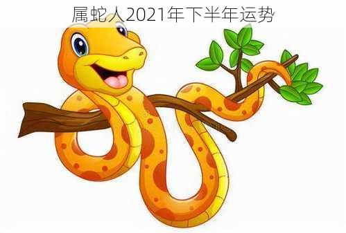 属蛇人2021年下半年运势