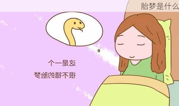 胎梦是什么