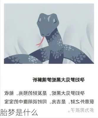 胎梦是什么