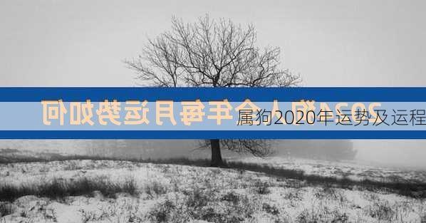 属狗2020年运势及运程