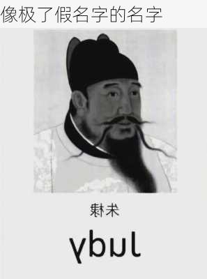 像极了假名字的名字