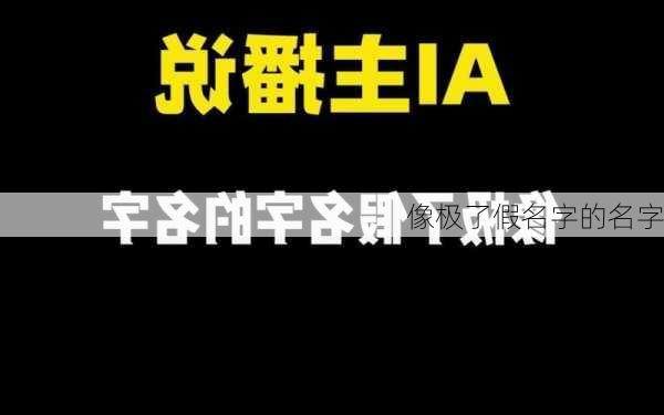 像极了假名字的名字