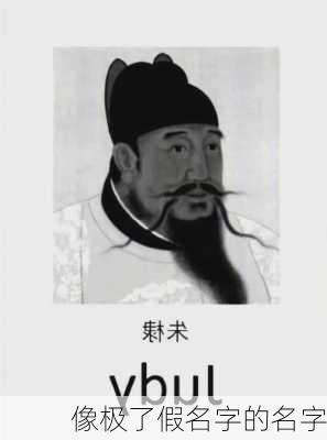 像极了假名字的名字