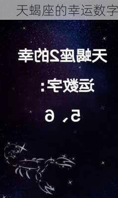 天蝎座的幸运数字