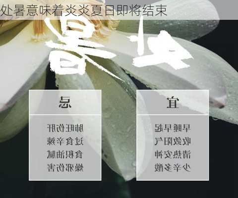 处暑意味着炎炎夏日即将结束