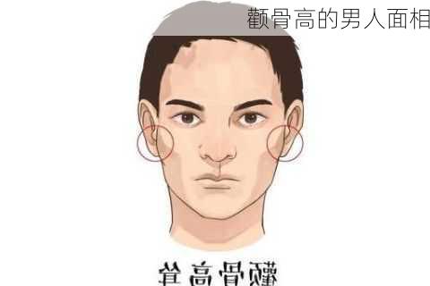 颧骨高的男人面相