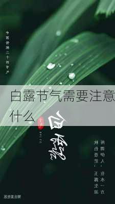 白露节气需要注意什么