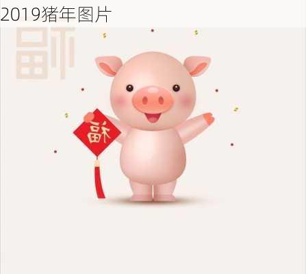 2019猪年图片